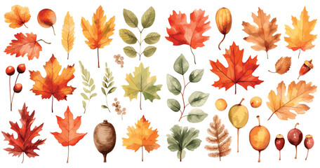 Watercolor autumn leaves, Beautiful autumn leaves