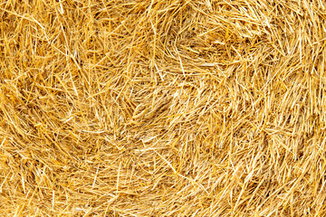 Hay texture. Hay bales are stacked in large stacks. Harvesting in agriculture.