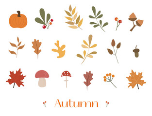Autumn bundle of cute and cozy design elements. Set of fall twigs with leaves, foliage, berries, pumpkins, and mushrooms. Colored flat vector illustration isolated on white background