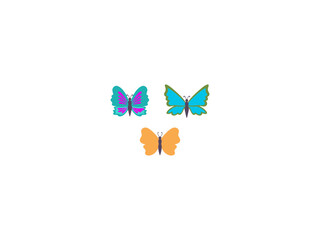 Bes5t collection butterfly design, vector and illustration