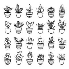 Set of plants in pots, Succulent Plant Silhouette, Succulent Plant Line Art