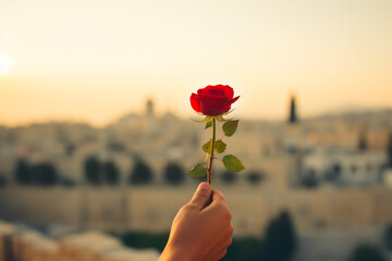 Female hand holding a red rose on the background of the city of Palestine - obrazy, fototapety, plakaty