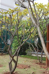 A breathtaking landscape in Brazil