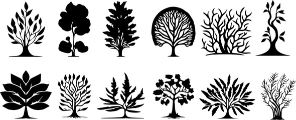 Set of ornamental plants of various types for the garden. Silhouettes of ornamental plants for design elements