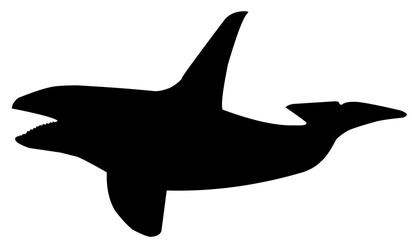 silhouette of a dolphin