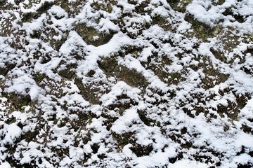 石垣に積もる雪