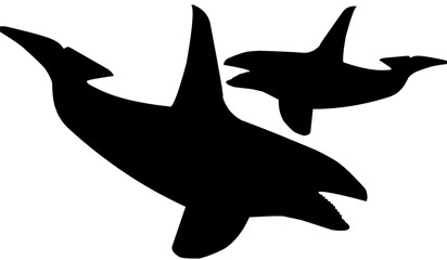 silhouette of a dolphin
