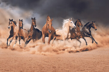 Lucky Seven Horses Running out of Desert Sand Storm, Beautiful Sunrise Sky Background, Luxury Poster and Wallpaper