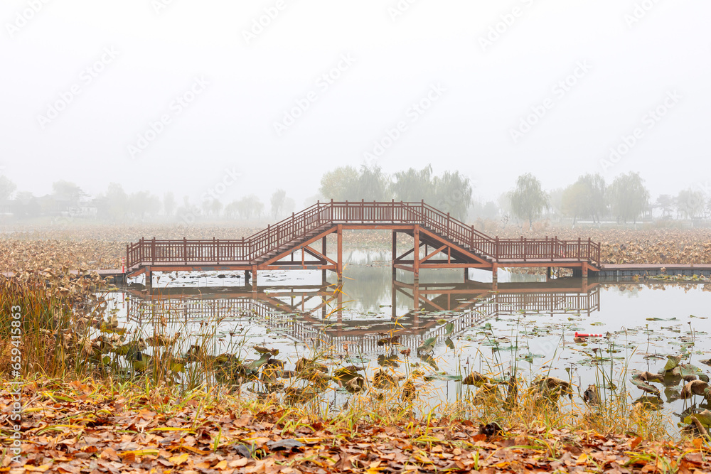 Wall mural The misty lake in the early morning