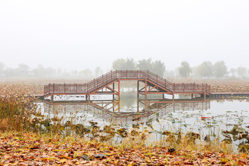 The misty lake in the early morning