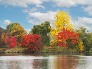 Obraz premium Pictures of Nagajima Park during autumn. Famous parks in Sapporo Hokkaido Prefecture