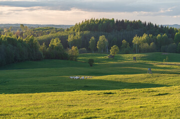 Agricultural fields and forests on the hills in the evening light