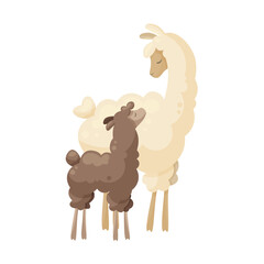 Cute llama family, curly llama mom with baby. Animal parent and its baby. Vector illustration, poster design, decorative illustration, baby and mother, mothers day, baby shower cards, happy alpacas © Лиля Зайдуллина