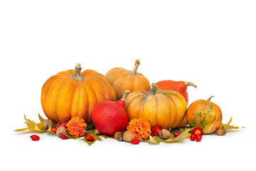 Naklejka na ściany i meble Pumpkins, acorns, red berries and autumnal colorful maple leaves on a white background with space for text