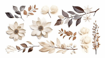 decoration with dried magnolia bramble and leave decoration and boho flower on white background - obrazy, fototapety, plakaty