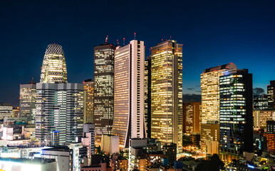 東京の夜景, 新宿の高層ビル群  ~Night view of Tokyo, Japan~ - obrazy, fototapety, plakaty