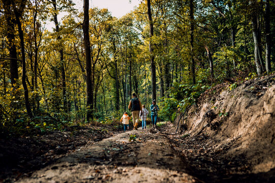 Rear view of smiling family of four enjoying hiking in trough forest.