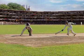 wicket keeper trying to run out a batsman before he reaches the crease during cricket match