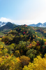 Fototapeta premium 北海道 十勝岳連峰の紅葉