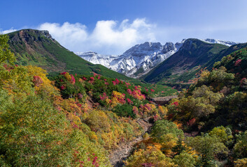 北海道　十勝岳連峰の紅葉