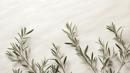  a close up of a plant on a white wall with a white background.  generative ai