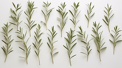  a group of green plants on a white wall with a white background.  generative ai