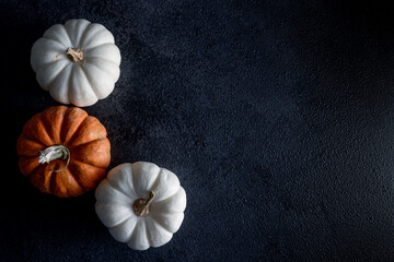 Mini thanksgiving pumpkins 