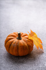 Mini thanksgiving pumpkins and autumn leaves