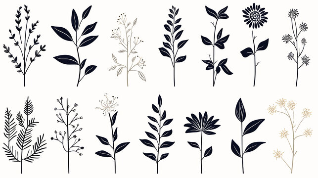 Decorative silhouettes of elegant leaves and flowers