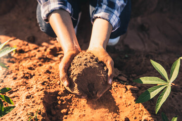 Expert hand of farmer checking soil health before growth a seed of vegetable or plant seedling.  Bunch of good soil in hands on ground background. Farmer holding soil in hands close-up. - obrazy, fototapety, plakaty