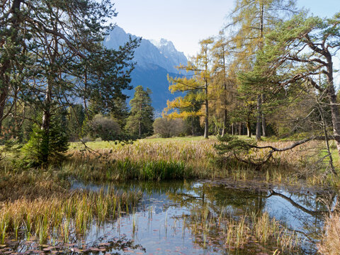 Biotop am Kramerplateauweg oberhalb von Garmisch-Partenkirchen in den bayerischen Alpen