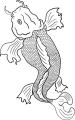 Beautiful line art Koi carp tattoo design ,colorful koi fish and flower. Idea for tattoo and coloring books.