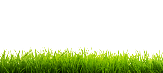 Fresh green grass field isolated on transparent  background for montage product display, Png files
