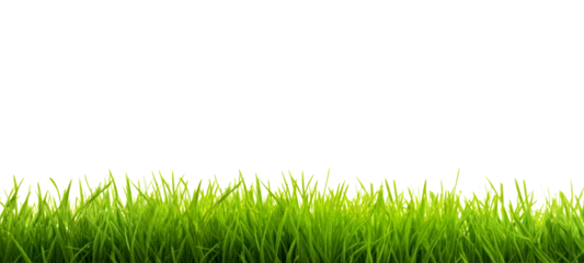 Crédence en verre imprimé Herbe Fresh green grass field isolated on transparent  background for montage product display, Png files