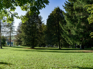 Glimpse of a park in Asiago in Italy