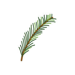 Kids drawing Cartoon Vector illustration pine leaves Isolated on White Background