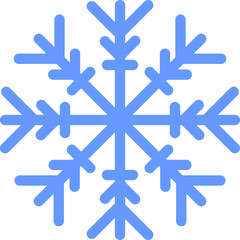 Winter Snowflake Icon