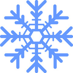 Winter Snowflake Icon