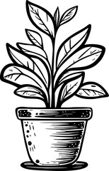 plant cartoon