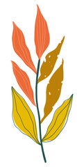Tender branch with leaves. Colored decorative element for decoration. Linear botanical flat vector illustration, eps10