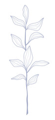 Stem with leaves. Decorative element for decoration. Linear botanical flat vector illustration, eps10