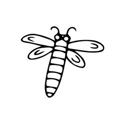 Dragonfly, insect. Vector contour, black and white hand-drawn doodles. Logo, template, clipart, sketch, icon.