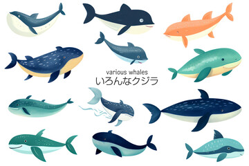 A collection of illustrations of various whales. Generative AI