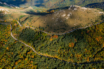 Aerial landscape of winding road in the forest, serpentine view