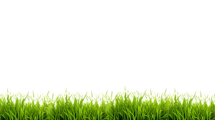 Grass on the ground, isolated on white background, Generative Ai