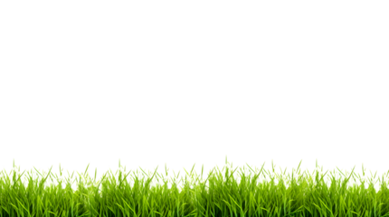 Grass on the ground, isolated on white background, Generative Ai