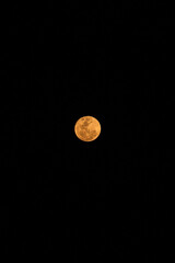 golden full moon night