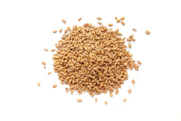 Pile of organic Wheat Grains, (Triticum) or caryopsis fruits isolated on a white background. Top view
