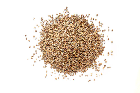 Pile of organic Pearl Millet (Pennisetum glaucum) or Bajra isolated on a white background. Top view