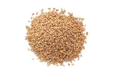 Fototapeta premium Pile of organic Wheat Grains (Triticum) or caryopsis fruits isolated on a white background. Top view